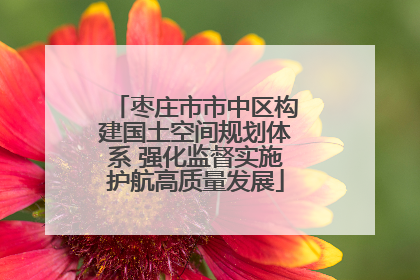 枣庄市市中区构建国土空间规划体系 强化监督实施护航高质量发展