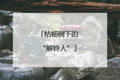 枯杨树下的“解铃人”