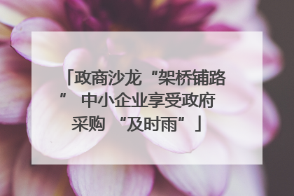 政商沙龙“架桥铺路” 中小企业享受政府采购 “及时雨”
