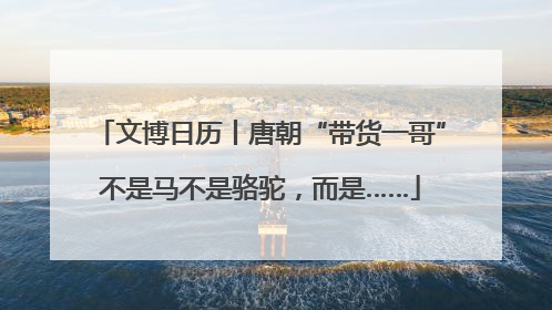 文博日历丨唐朝“带货一哥”不是马不是骆驼，而是……