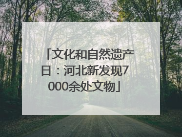 文化和自然遗产日：河北新发现7000余处文物