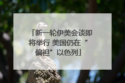 新一轮伊美会谈即将举行 美国仍在“偏袒”以色列