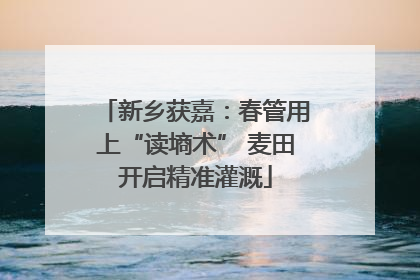 新乡获嘉：春管用上“读墒术” 麦田开启精准灌溉