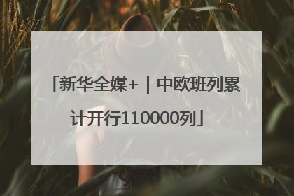 新华全媒+｜中欧班列累计开行110000列