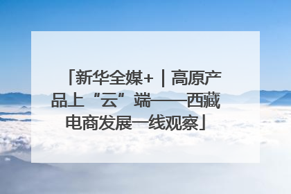 新华全媒+｜高原产品上“云”端——西藏电商发展一线观察