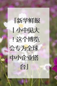 新华鲜报丨小中见大！这个博览会专为全球中小企业搭台