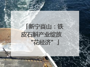 新宁崀山：铁皮石斛产业绽放“花经济”