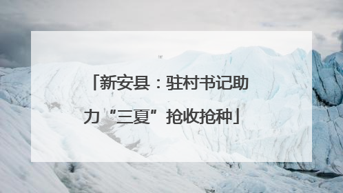 新安县：驻村书记助力“三夏”抢收抢种