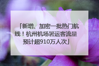 新增、加密一批热门航线！杭州机场暑运客流量预计超910万人次