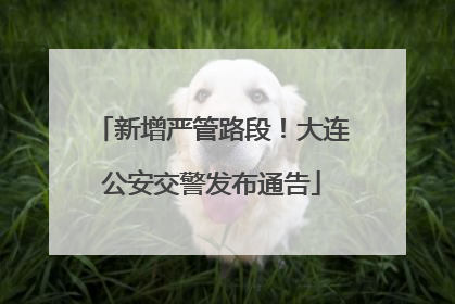 新增严管路段！大连公安交警发布通告
