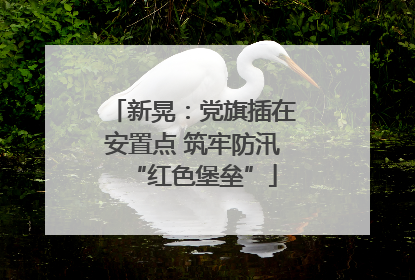 新晃：党旗插在安置点 筑牢防汛“红色堡垒”