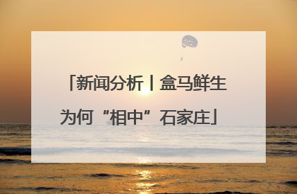 新闻分析丨盒马鲜生为何“相中”石家庄