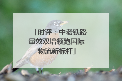 时评：中老铁路量效双增领跑国际物流新标杆