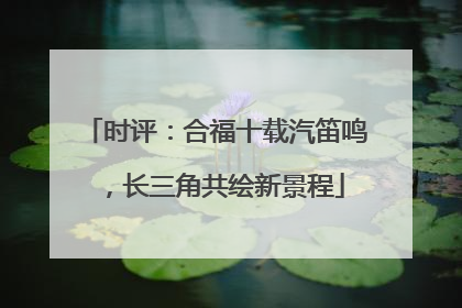 时评：合福十载汽笛鸣，长三角共绘新景程