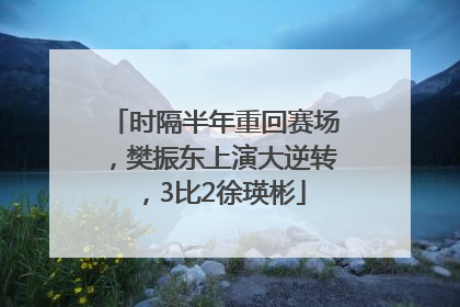时隔半年重回赛场，樊振东上演大逆转，3比2徐瑛彬