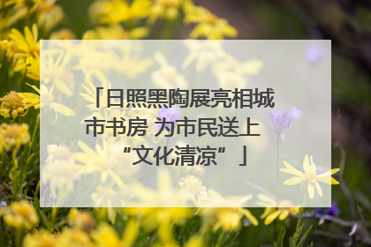 日照黑陶展亮相城市书房 为市民送上“文化清凉”