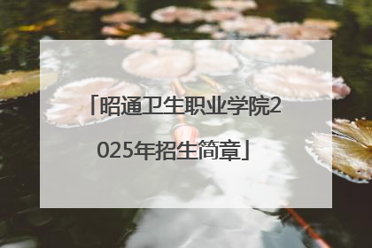 昭通卫生职业学院2025年招生简章