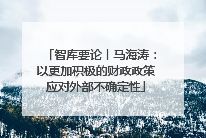 智库要论丨马海涛：以更加积极的财政政策应对外部不确定性