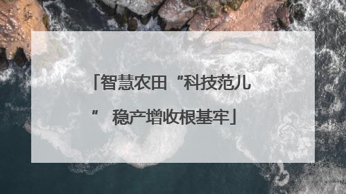 智慧农田“科技范儿” 稳产增收根基牢