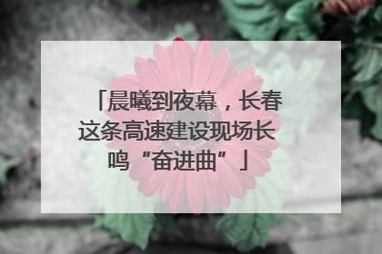 晨曦到夜幕，长春这条高速建设现场长鸣“奋进曲”