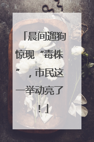 晨间遛狗惊现“毒株”，市民这一举动亮了！
