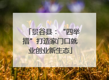 景谷县：“四举措”打造家门口就业创业新生态