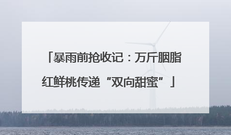 暴雨前抢收记：万斤胭脂红鲜桃传递“双向甜蜜”