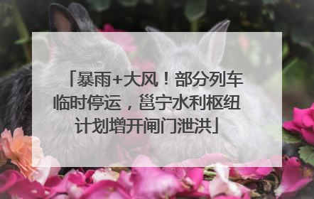 暴雨+大风！部分列车临时停运，邕宁水利枢纽计划增开闸门泄洪