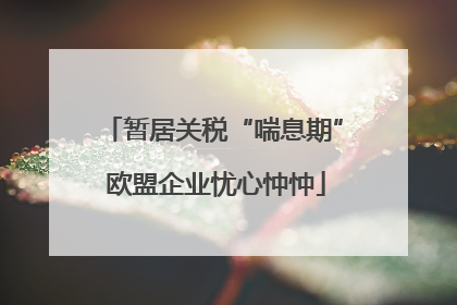 暂居关税“喘息期” 欧盟企业忧心忡忡
