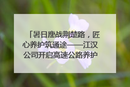 暑日鏖战荆楚路，匠心养护筑通途——江汉公司开启高速公路养护专项工程建设热潮
