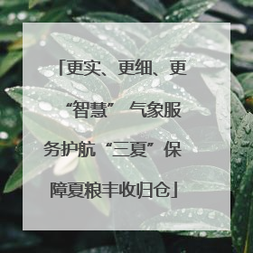 更实、更细、更“智慧” 气象服务护航“三夏”保障夏粮丰收归仓