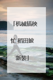 机械插秧忙 稻田披新装