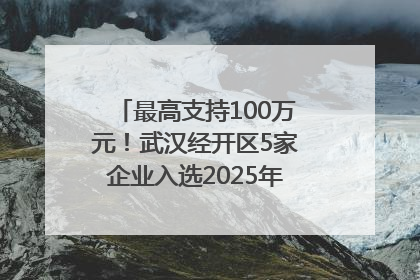 最高支持100万元！武汉经开区5家企业入选2025年度武汉市重点研发计划拟立项项目名单