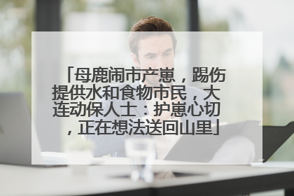 母鹿闹市产崽，踢伤提供水和食物市民，大连动保人士：护崽心切，正在想法送回山里