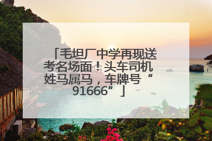 毛坦厂中学再现送考名场面！头车司机姓马属马，车牌号“91666”