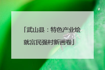 武山县：特色产业绘就富民强村新画卷