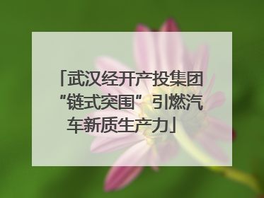 武汉经开产投集团“链式突围”引燃汽车新质生产力