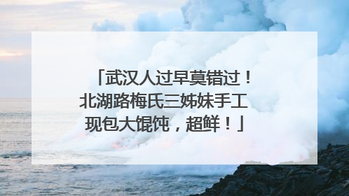 武汉人过早莫错过！北湖路梅氏三姊妹手工现包大馄饨，超鲜！