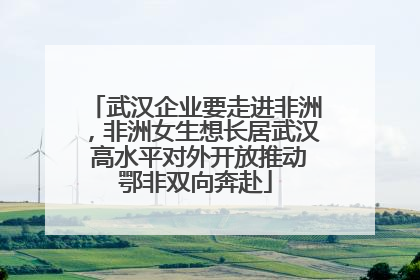 武汉企业要走进非洲，非洲女生想长居武汉 高水平对外开放推动鄂非双向奔赴