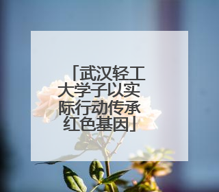 武汉轻工大学子以实际行动传承红色基因