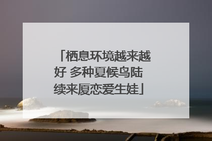 栖息环境越来越好 多种夏候鸟陆续来厦恋爱生娃