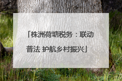 株洲荷塘税务：联动普法 护航乡村振兴