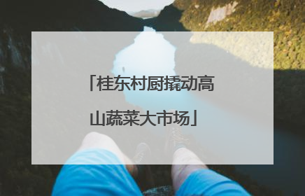 桂东村厨撬动高山蔬菜大市场
