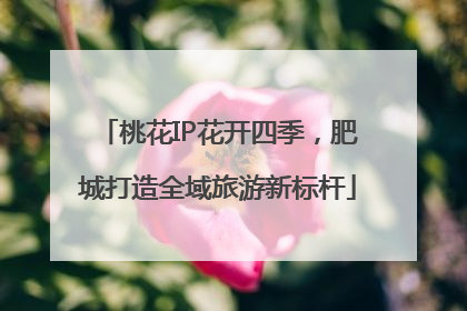 桃花IP花开四季，肥城打造全域旅游新标杆