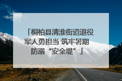 桐柏县清淮街道退役军人勇担当 筑牢暑期防溺“安全堤”