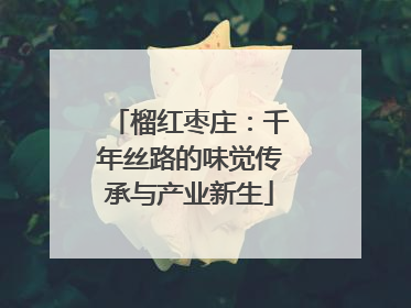 榴红枣庄：千年丝路的味觉传承与产业新生