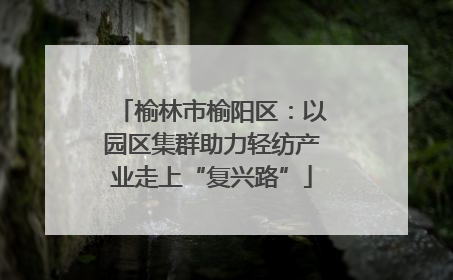 榆林市榆阳区：以园区集群助力轻纺产业走上“复兴路”
