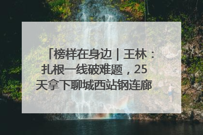 榜样在身边｜王林：扎根一线破难题，25天拿下聊城西站钢连廊“硬核”工程