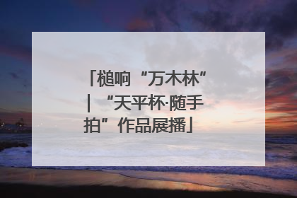 槌响“万木林”｜“天平杯·随手拍”作品展播