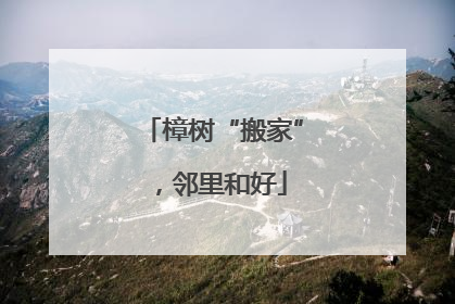 樟树“搬家”，邻里和好